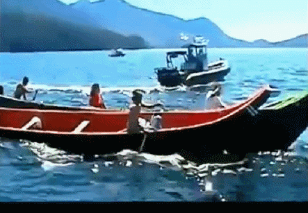 IMG_7015.GIF