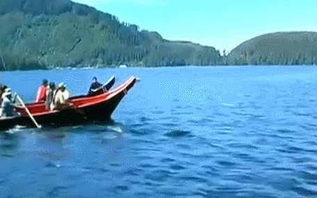 IMG_7018.GIF