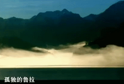 IMG_7028.GIF
