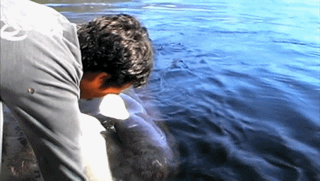 IMG_7030.GIF