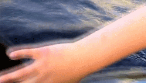 IMG_7031.GIF