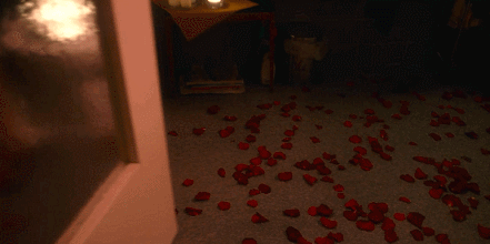 IMG_7995.GIF