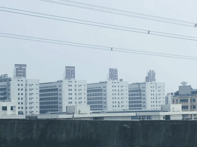 IMG_9134.GIF
