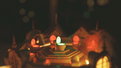 IMG_9151.GIF