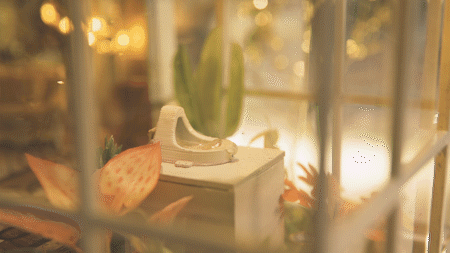 IMG_9150.GIF