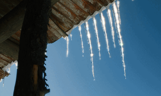 IMG_6297.GIF