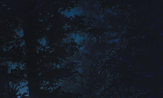 IMG_6301.GIF
