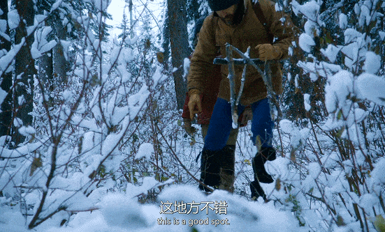 IMG_6309.GIF