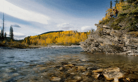 IMG_6321.GIF