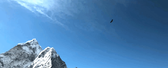 IMG_4578.GIF