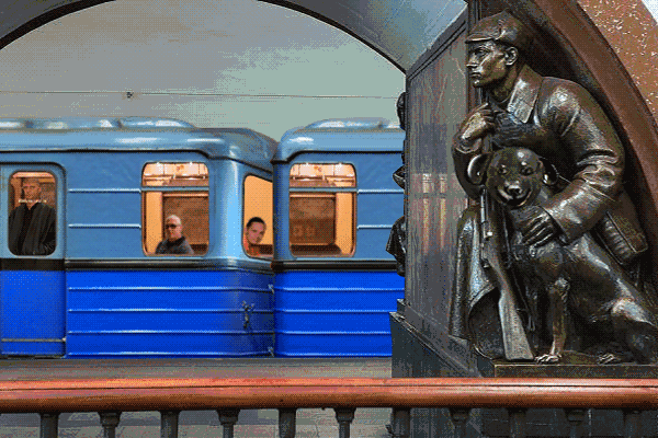 IMG_7105.GIF