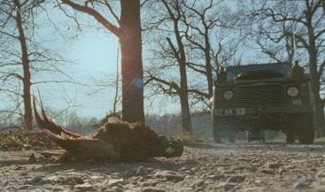 IMG_7166.GIF
