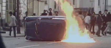 IMG_7181.GIF