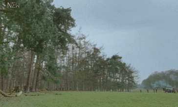 IMG_7196.GIF