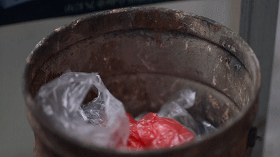 IMG_7291.GIF