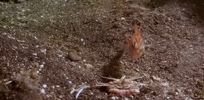 IMG_7409.GIF