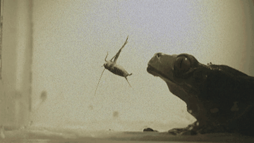 1.gif 1.gif