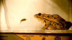 3.gif 3.gif