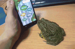 2.gif 2.gif