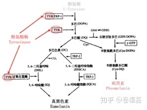 IMG_7779.jpg IMG_7779.jpg
