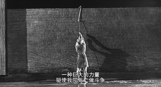 IMG_8003.GIF
