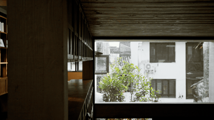 IMG_8506.GIF