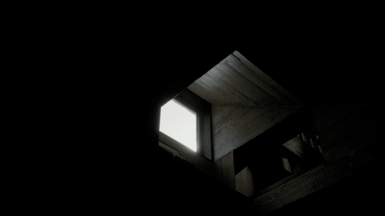 IMG_8548.GIF