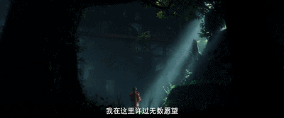 IMG_9317.GIF