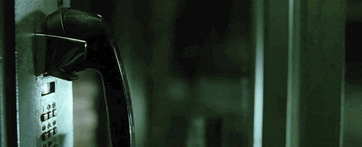 IMG_8809.GIF