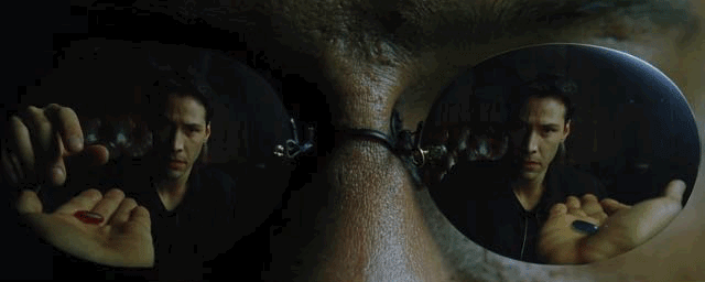 IMG_8813.GIF
