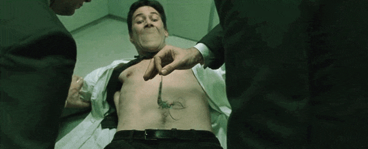 IMG_8810.GIF