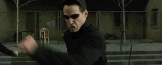 IMG_8824.GIF