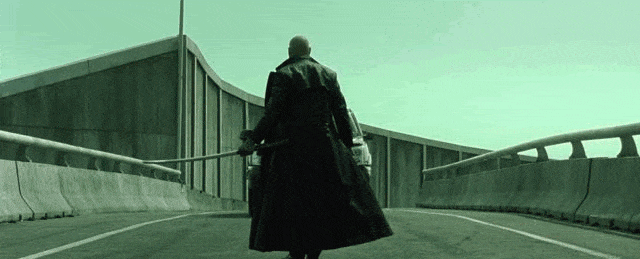 IMG_8827.GIF