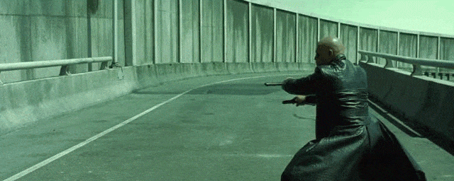 IMG_8828.GIF