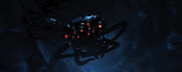 IMG_8830.GIF