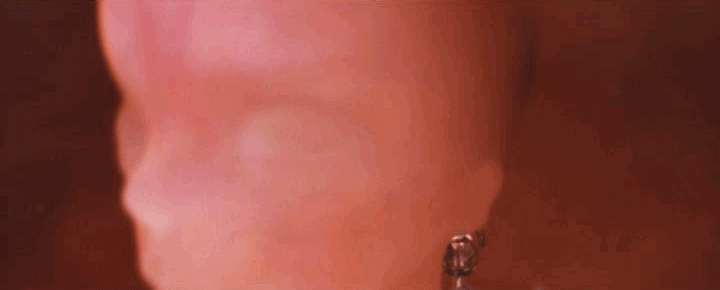 IMG_8843.GIF