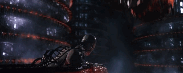 IMG_8847.GIF