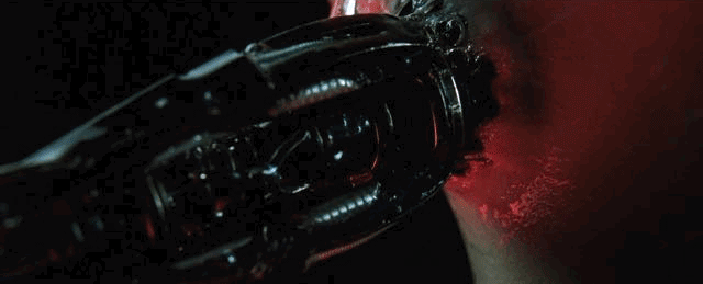 IMG_8848.GIF