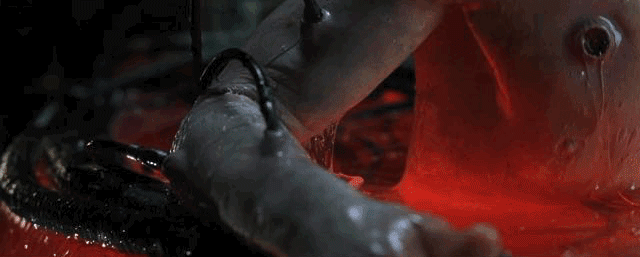 IMG_8851.GIF