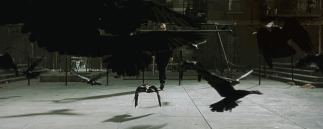 IMG_8853.GIF