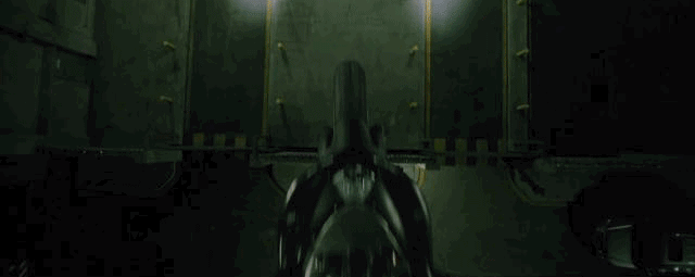 IMG_8852.GIF