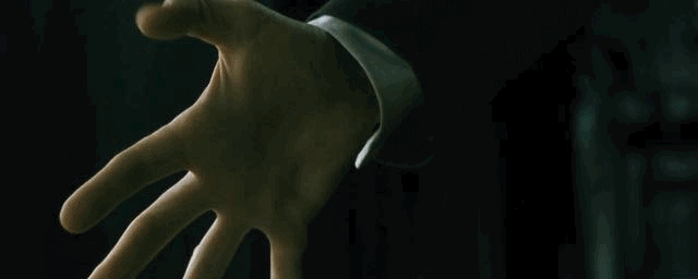 IMG_8868.GIF