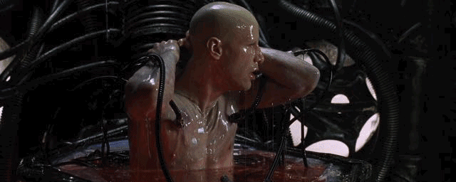4.gif