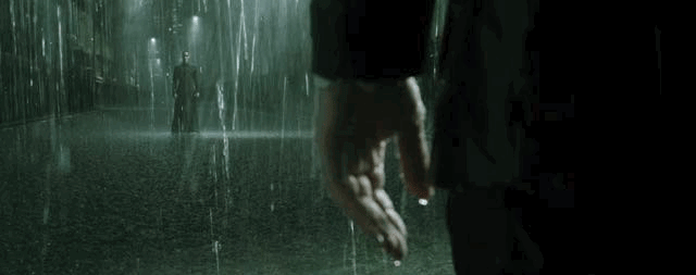 IMG_8873.GIF