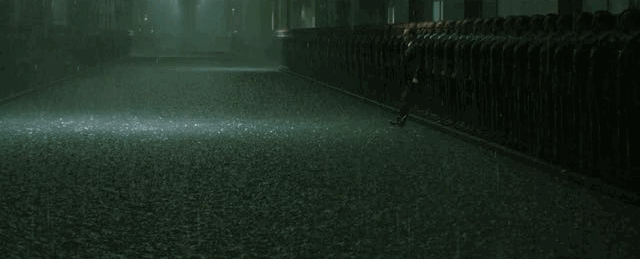 IMG_8872.GIF