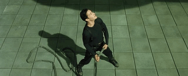 IMG_8877.GIF