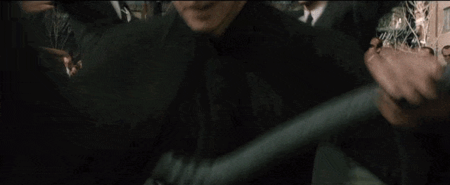 IMG_8917.GIF
