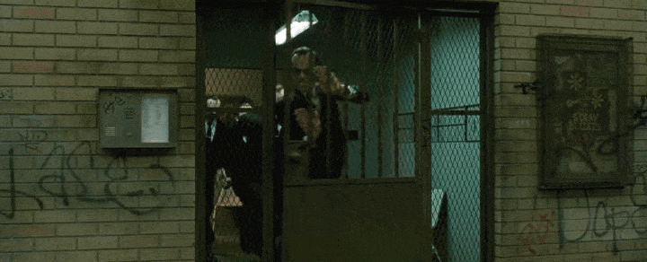 IMG_8916.GIF