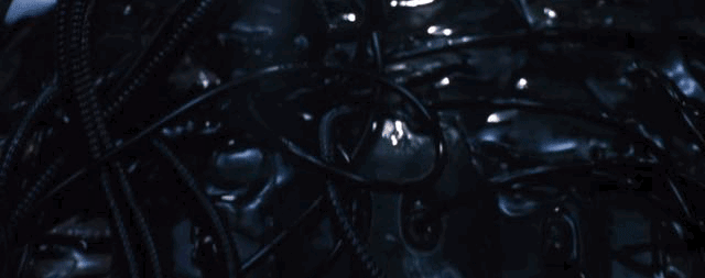12.gif
