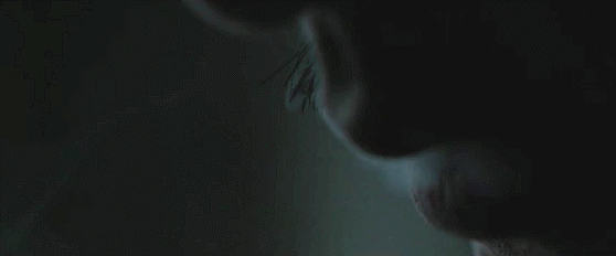 IMG_9976.GIF